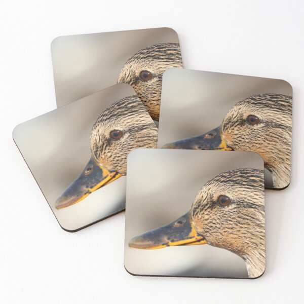Item preview, Mallard extreme close up designed and sold by GreyFeatherPhot.