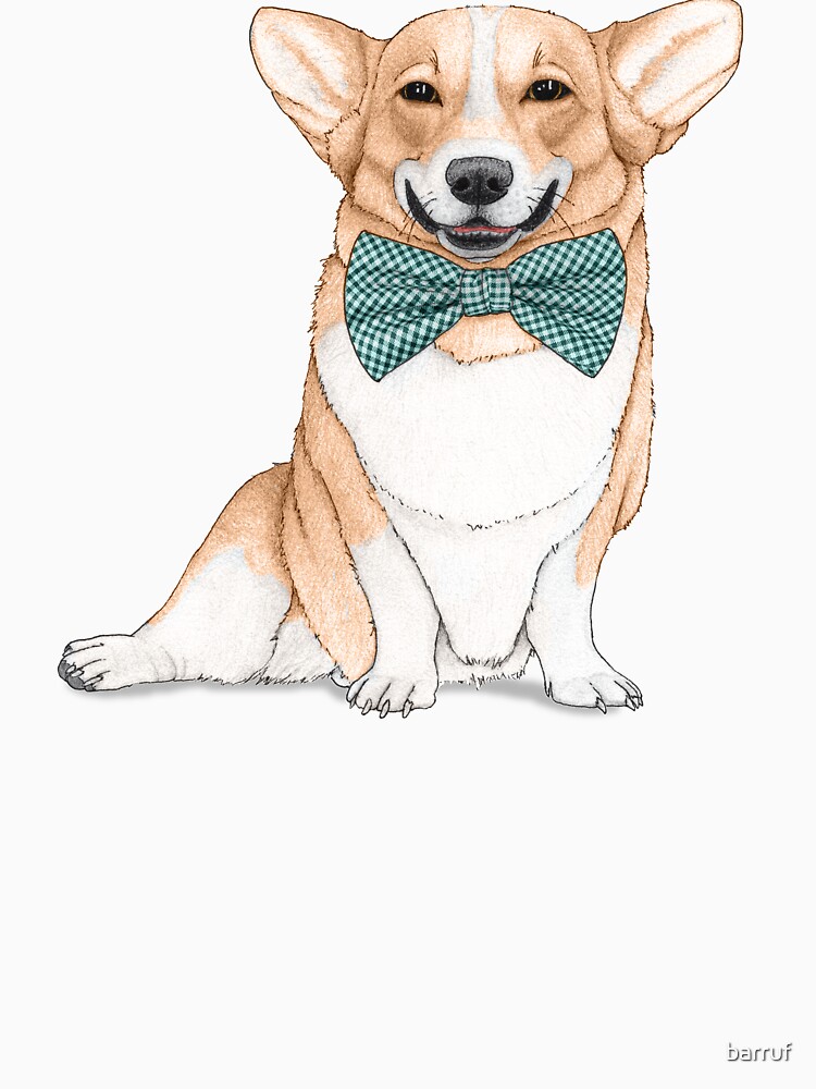 Corgi Dog by barruf