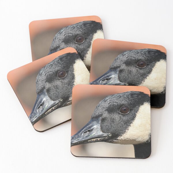 Item preview, Canada goose designed and sold by GreyFeatherPhot.