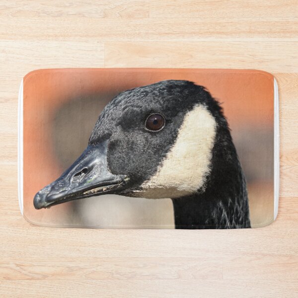 Item preview, Canada goose designed and sold by GreyFeatherPhot.