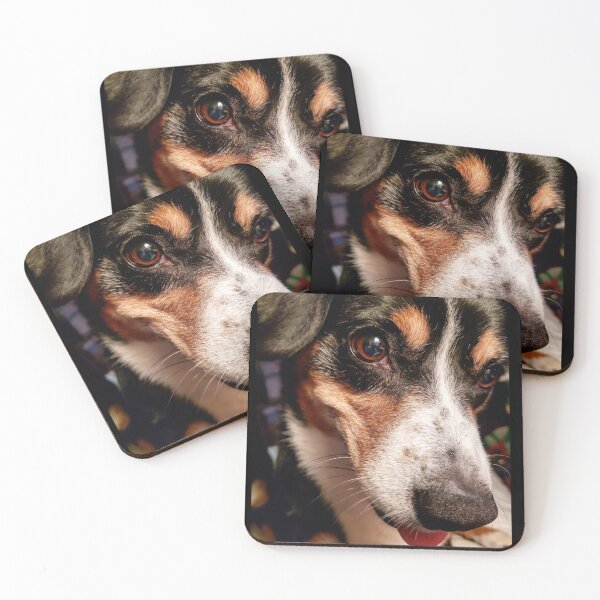 Item preview, Sweet Bazinga!  designed and sold by Kim Taylor.