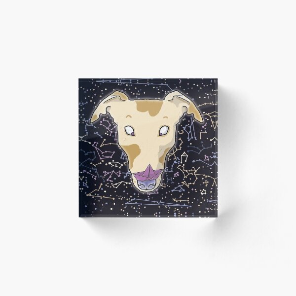 Hey space greyhound, you have something on your nose! Space hound illustration print with a surprised greyhound with a paper boat on his nose on a black and violet constellation background Acrylic Block