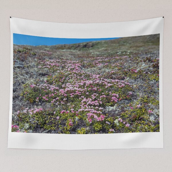 Item preview, Petite Flowers of the Tundra designed and sold by AndyKazie.