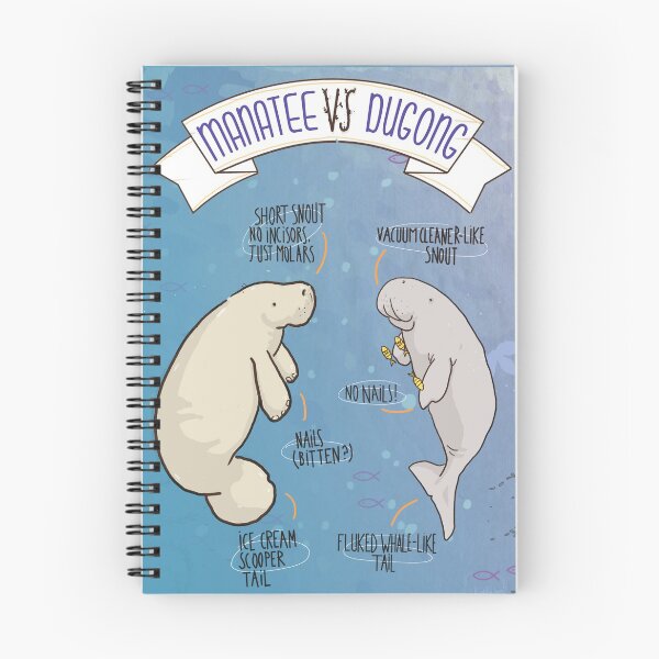 Item preview, Manatee VS Dugong: an educational poster with a bit of humour illustration designed and sold by tostoini.
