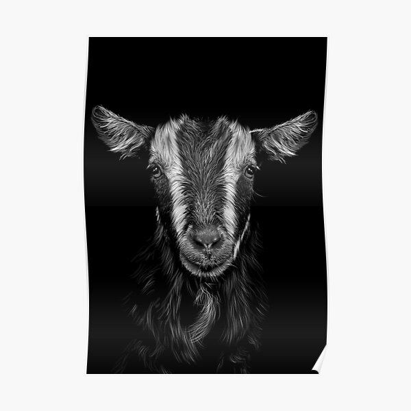 Invert Goat Poster By Idaeltvik Redbubble 