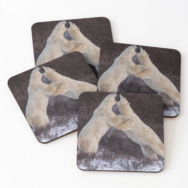 Item preview, Sparring Bears designed and sold by AJM Photography.
