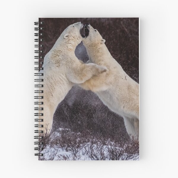 Item preview, Sparring Bears designed and sold by AJM Photography.