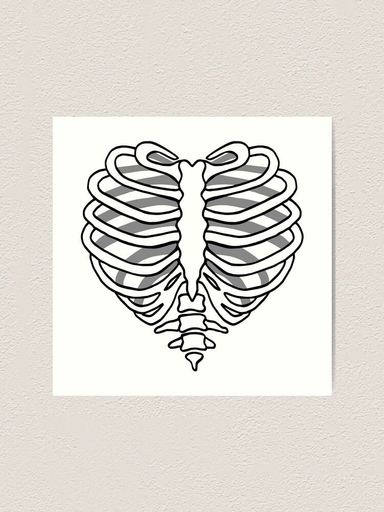Skeleton rib cage heart