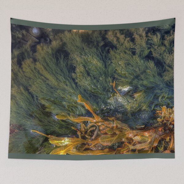 Item preview, Rock Pool designed and sold by Catchavista.