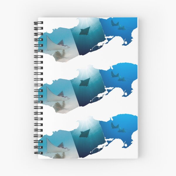 Item preview, Eagle Ray Island designed and sold by Caitlin Chock.