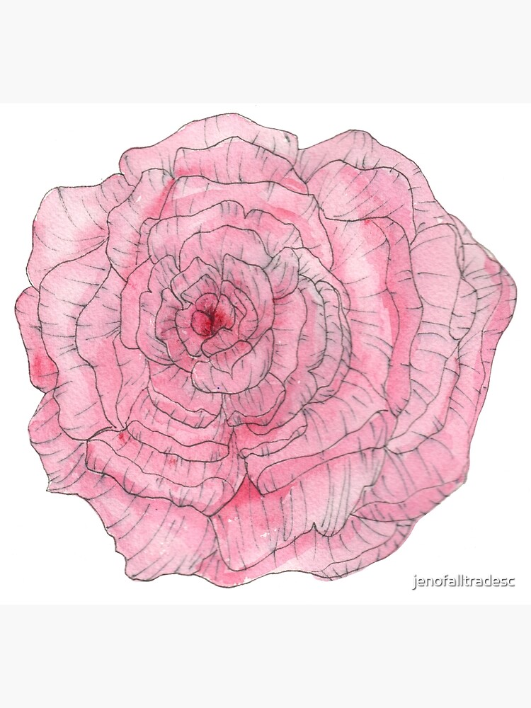 Watercolor Peony by jenofalltradesc