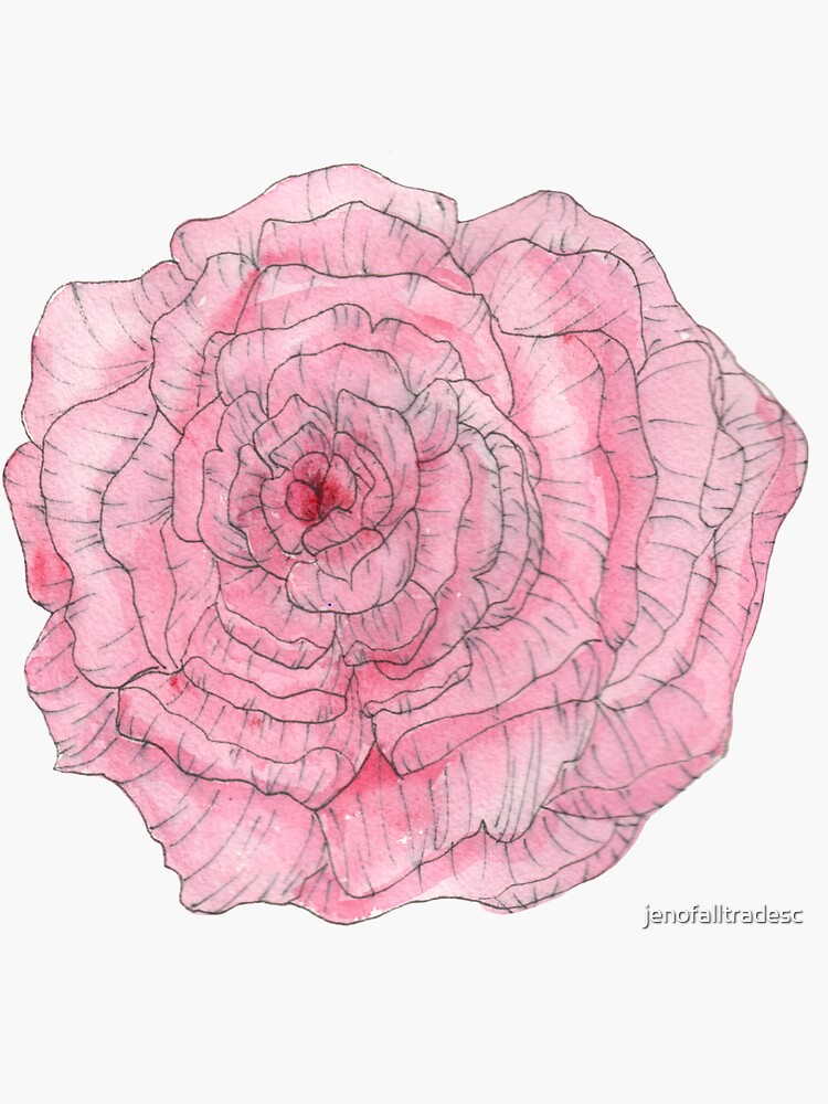 Watercolor Peony by jenofalltradesc