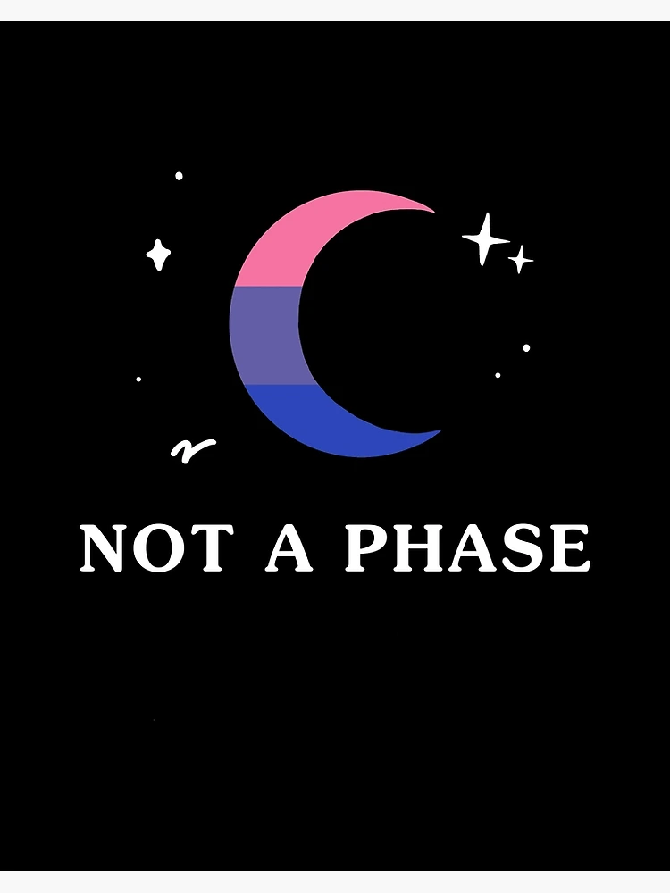Not A Phase Bisexual Lgbtq Bi Pride Flag Moon T-Shirt Not A Phase Bisexual Lgbtq Bi Pride Flag Moon T-Shirt