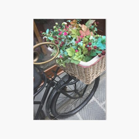 Flower Basket Byclette Art Board Print