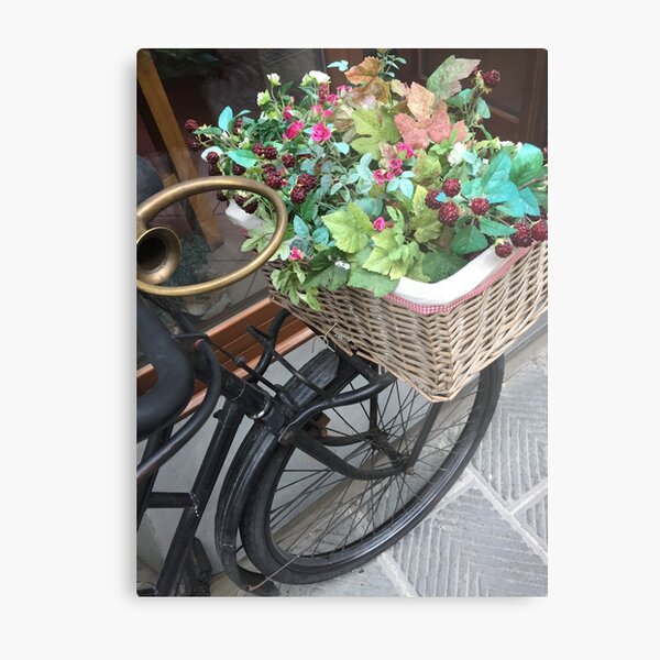 Flower Basket Byclette Metal Print