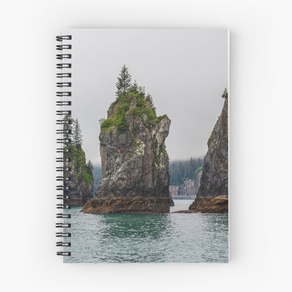 Aperçu de l'œuvre Rock Spire Seascape créée et vendue par AndyKazie.