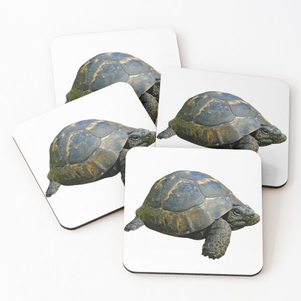 Item preview, Tortoise designed and sold by Royisaacs.