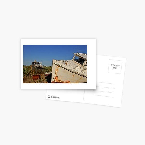 Untitled Postcard