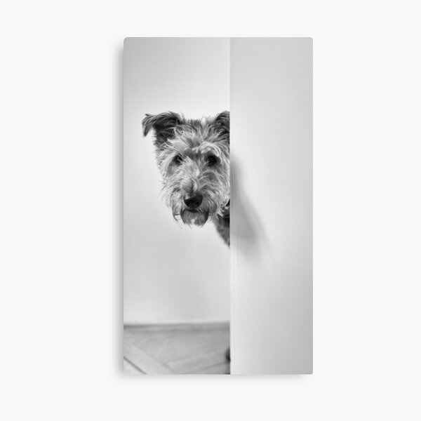 You lookin' at me? Canvas Print