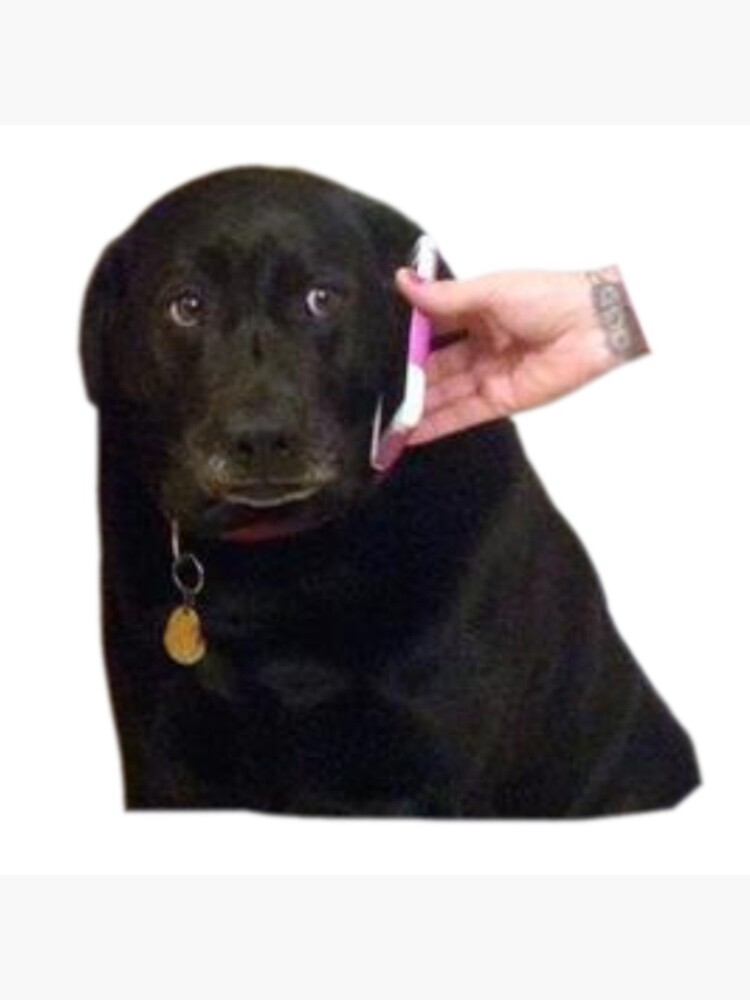 "Sad Dog On Phone Meme" Art Print for Sale by Goath Redbubble