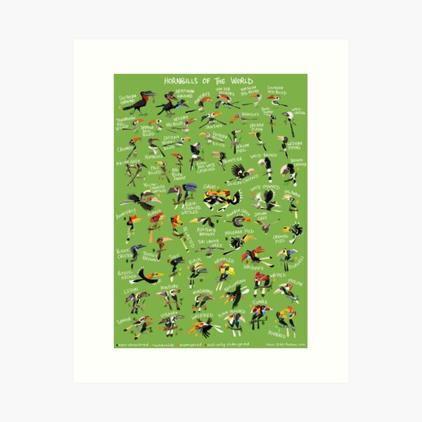 Item preview, Hornbills of the World designed and sold by Green Humour.