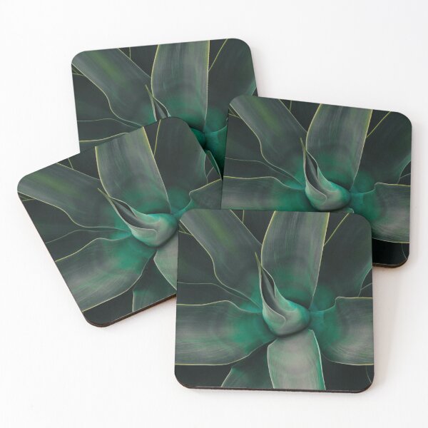Item preview, Beautiful Plant - Succulent designed and sold by Paulina Fadrowska.