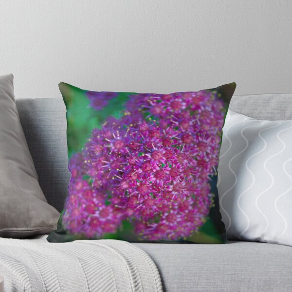 Item preview, Stonecrop Flowers designed and sold by ADM  Photography.