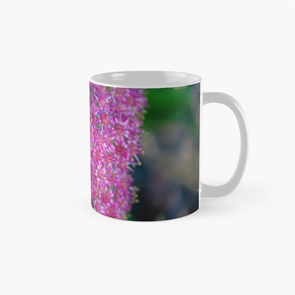 Item preview, Stonecrop Flowers designed and sold by ADM  Photography.