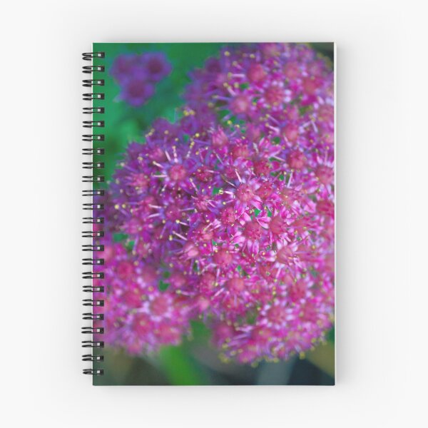 Item preview, Stonecrop Flowers designed and sold by ADM  Photography.