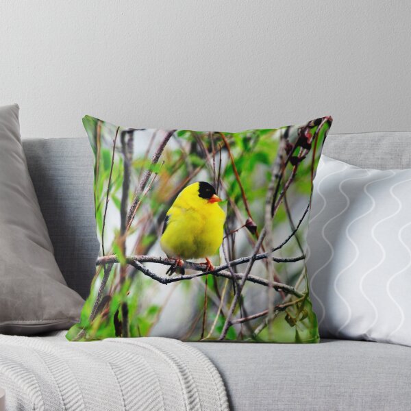 Item preview, YELLOW MALE GOLDFINCH PICTURE-PILLOW AND VARIOUS APPAREL designed and sold by ✿✿ Bonita ✿✿ ђєℓℓσ.