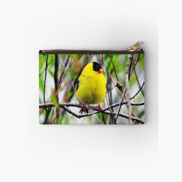 Item preview, YELLOW MALE GOLDFINCH PICTURE-PILLOW AND VARIOUS APPAREL designed and sold by ✿✿ Bonita ✿✿ ђєℓℓσ.