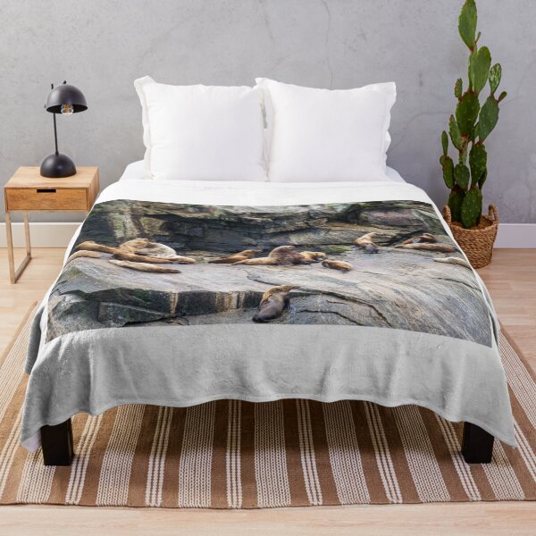 Item preview, Steller Sea Lion designed and sold by AndyKazie.