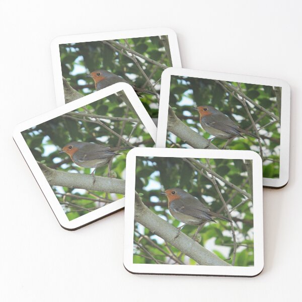 Item preview, Robin Red Breast designed and sold by Theresa Selley.