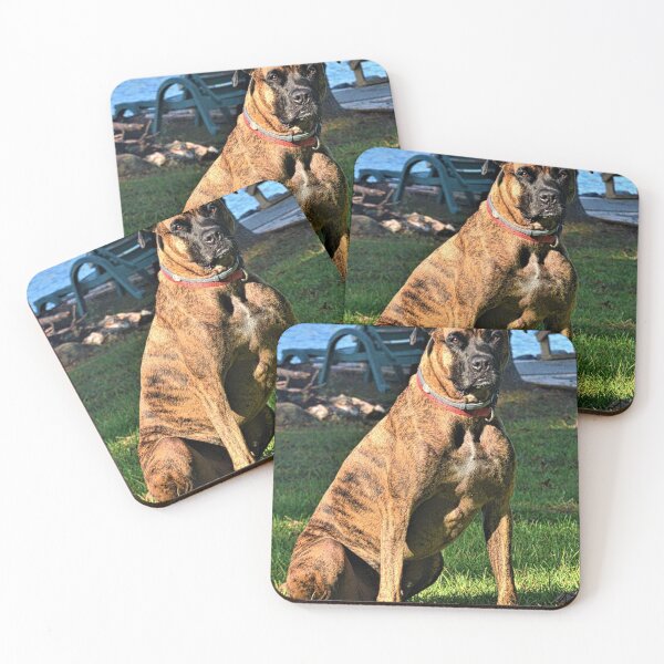Item preview, Brindle Boxer Beauty designed and sold by LisaWootenPhoto.
