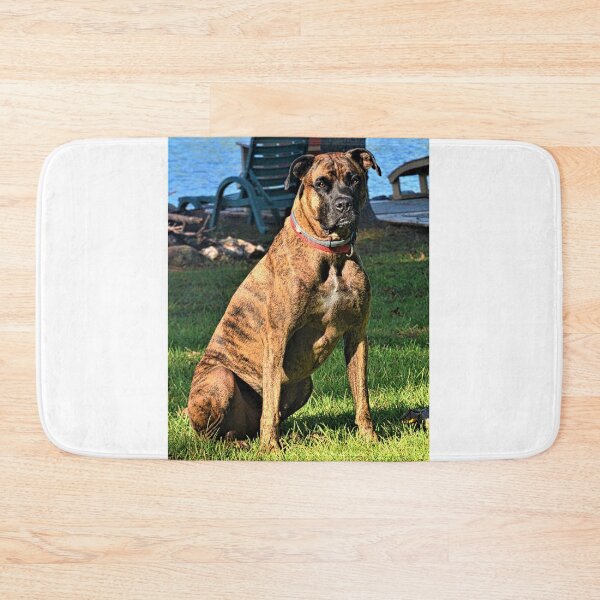 Item preview, Brindle Boxer Beauty designed and sold by LisaWootenPhoto.