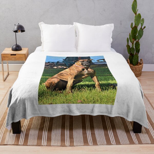 Item preview, Brindle Boxer Beauty designed and sold by LisaWootenPhoto.