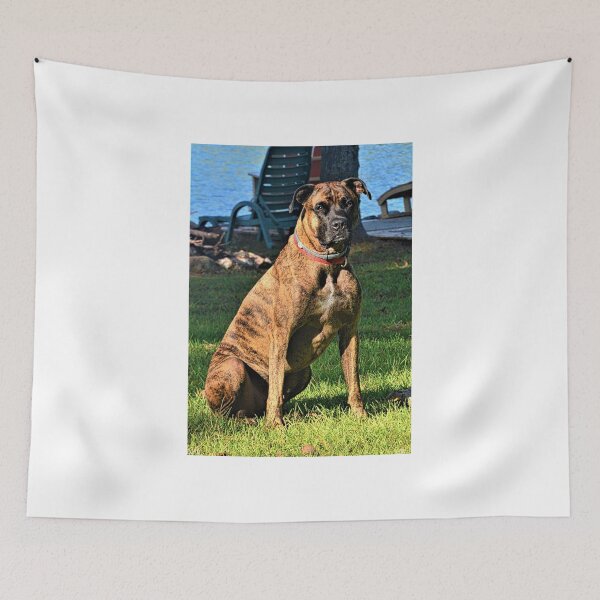 Item preview, Brindle Boxer Beauty designed and sold by LisaWootenPhoto.
