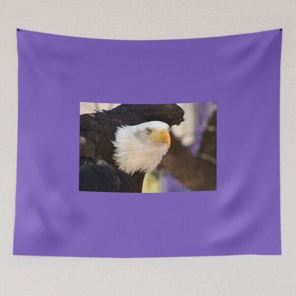 Item preview, Bald Eagle... designed and sold by RichImage.