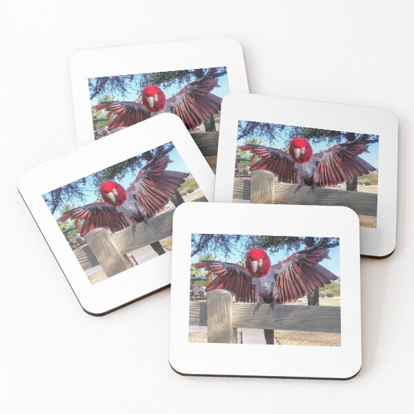 Item preview, SAMMY SAYING HELLO TO THE PHOTOGRAPHER designed and sold by JAYMILO.
