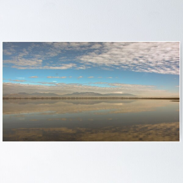 Item preview, Lake Kerkini - Serres, Greece designed and sold by Tasos Triantafyllou.