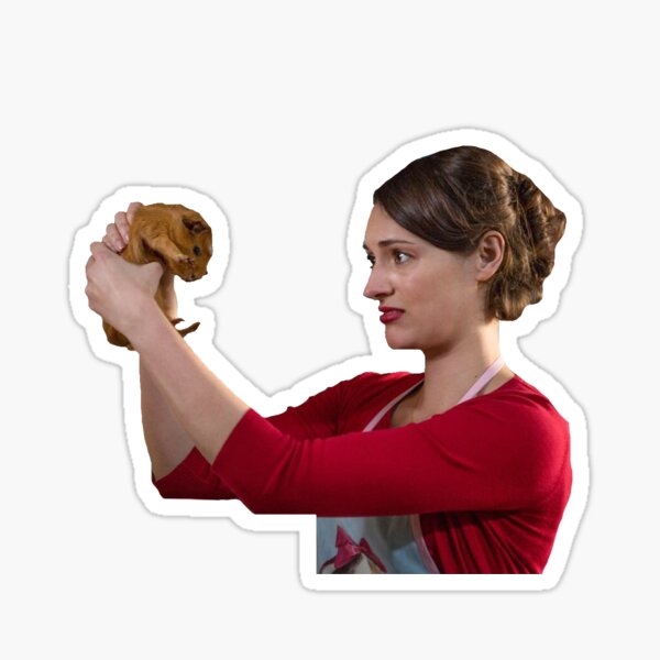 Vista previa del artículo con la obra «fleabag y hillary», diseñado y vendido por emilybennett27.