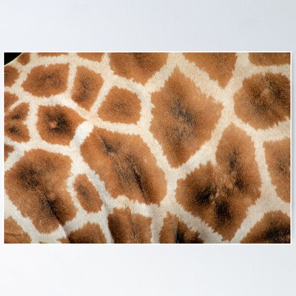 Item preview, giraffe designed and sold by keki.