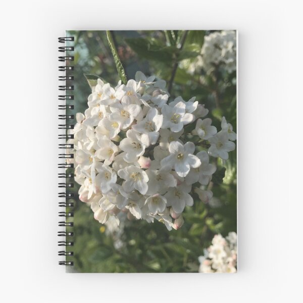 Item preview, White Blossom  designed and sold by BrickTheCryptid.