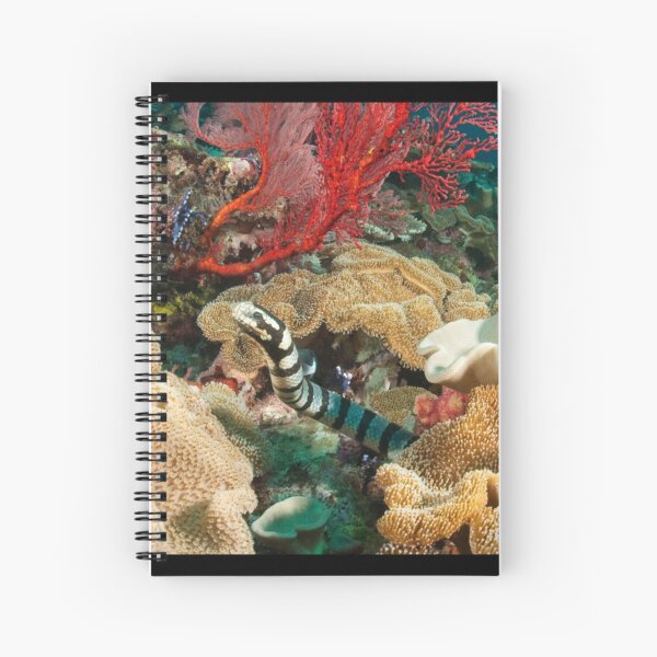 Banded Sea Krait off Port Moresby, Papua New Guinea Spiral Notebook
