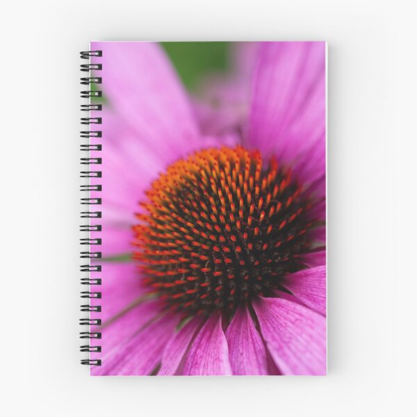 Item preview, echinacea designed and sold by codaimages.