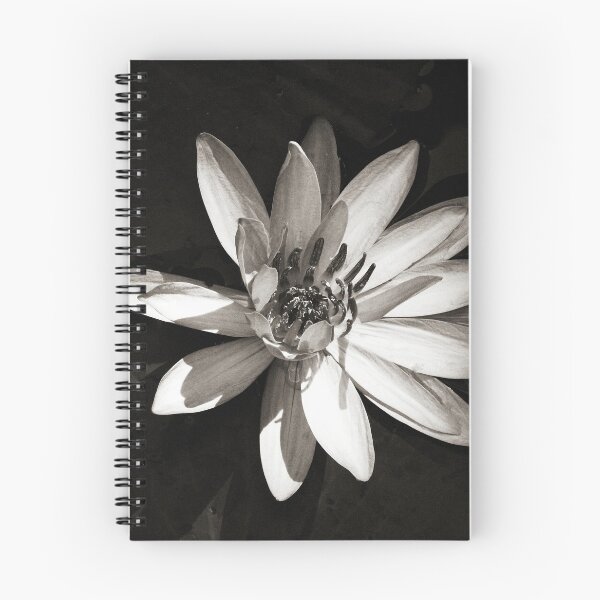 Item preview, Water Lily  designed and sold by Ethna Gillespie.