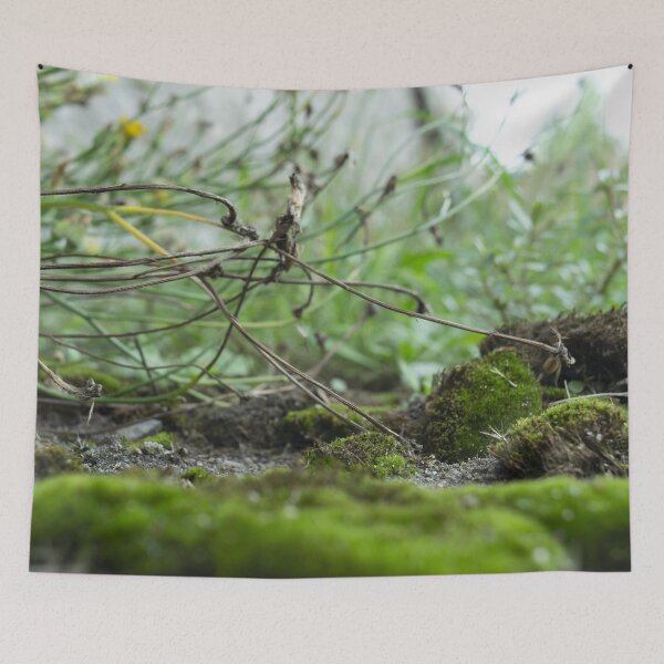 Item preview, Grasslands designed and sold by Jacko-2026.