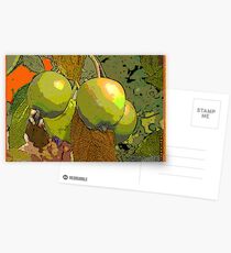 MeleCotogne(Quinces) Postcards