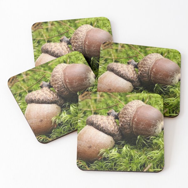 Item preview, Acorns on a Bed of Moss designed and sold by SusanSeamaiden.