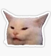 cat meme Sticker